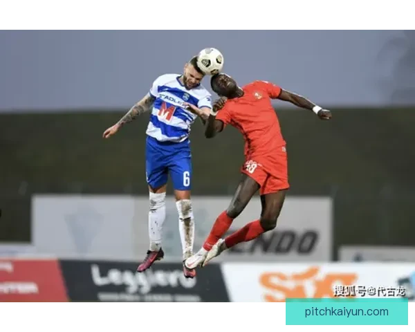 维特斯球队结构解析：当前赛季阵容框架与战术体系分析